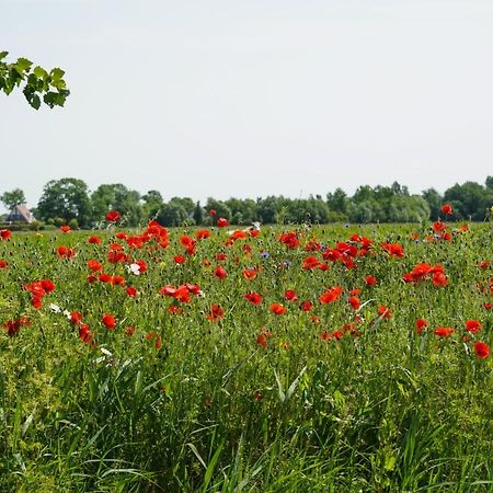 Gastenverblijf Eenigenburg Exteriér fotografie