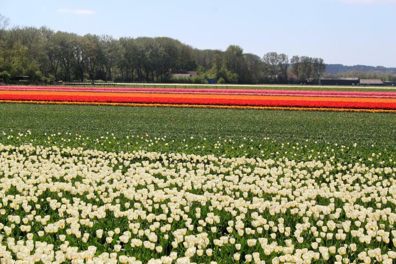 Gastenverblijf Eenigenburg Exteriér fotografie