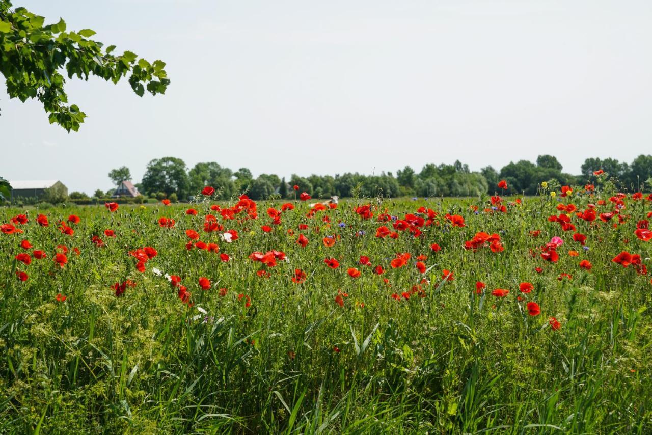 Gastenverblijf Eenigenburg Exteriér fotografie